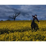 imagebam.com