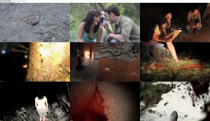 Download Evidence (2011) BluRay 720p 600MB Ganool