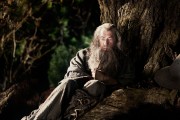 Хоббит: Нежданное путешествие / The Hobbit - An Unexpected Journey (2012) 2bb3c7211363772