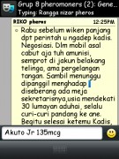 ImageBam image upload