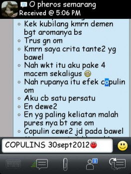 ImageBam image upload