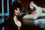 Эльвира: Повелительница тьмы / Elvira: Mistress of the Dark (Кассандра Петерсон, 1988) 1a3b60213657854