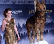 Kristen Stewart クリステン・スチュワート