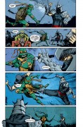 Teenage Mutant Ninja Turtles #12 Teenage Mutant Ninja Turtles #12