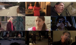 Download The Dog Who Saved The Holidays (2012) STV DVDRip 400MB Ganool 