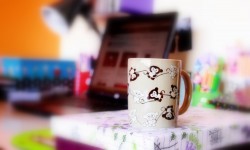 imagebam.com