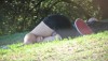 imagebam.com