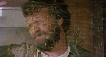 [Kép: 8b28b7235893611.jpg]