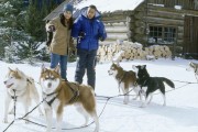 Снежные псы / Snow Dogs (Кьюба Гудинг мл, 2002)  597967237752243