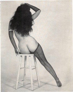 imagebam.com