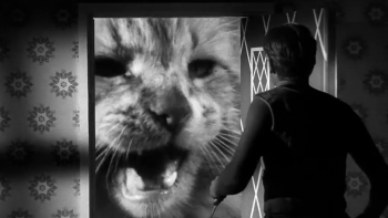 [Kép: 5e484e244315134.jpg]