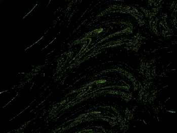 ImageBam image upload