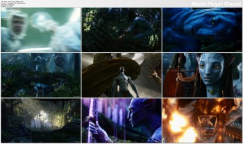 Download Avatar (2009) BluRay 720p x264 Ganool
