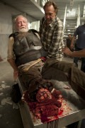 Ходячие Мертвецы / The Walking Dead (сериал 2010 -) 76d8df285400953