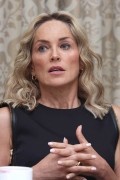 Шэрон Стоун (Sharon Stone) Lovelace Press Conference Portraits at the Four Seasons Hotel in Beverly Hills - August 5 2013 - 27xHQ 312bad287775245
