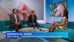 Obrázek