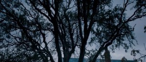 Autopsja Jane Doe / The Autopsy of Jane Doe (2016) PL.BRRip.XViD-MORS + x264 | LEKTOR PL Autopsja Jane Doe / The Autopsy of Jane Doe (2016) PL.BRRip.XViD-MORS + x264 | LEKTOR PL