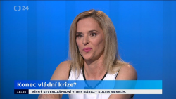 Obrázek