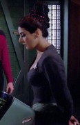 Marina Sirtis Fakes